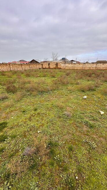 şamaxı torpaq satılır: 24 соток, Для строительства, Риэлтор, Купчая