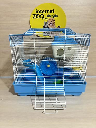 Хомяки: Продаются хомячки джунгарские, сирийские, ангорские пушистые хомячки — 28