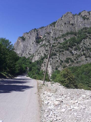 Landşaft işləri: Kupcalı 41 sot torpaq 20 sotda satilir — 7