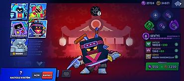 Другое: Brawl Stars oyunu üçün hesab - Kupa: 15 060 (Kupa Yolu I) - Toplanan — 9