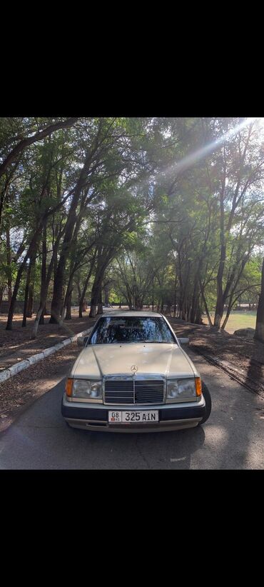 ауди кузов: Mercedes-Benz W124: 1988 г., 2.3 л, Механика, Газ, Седан