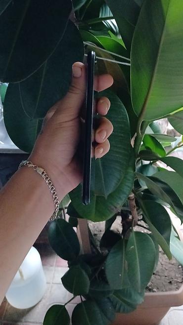 separator qiyməti: Xiaomi Mi2A, 32 GB, rəng - Gümüşü, 
 Zəmanət, Sensor, Barmaq izi — 5