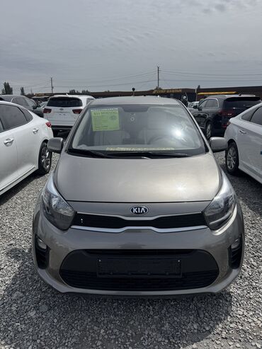 авто из кореи в наличии в бишкеке: Kia Morning: 2019 г., 1 л, Автомат, Бензин, Хэтчбэк