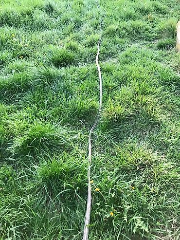 Ostala elektronika: Dalekovodni visokonaponski petozilni kabl sa sajlom debeo tezak tacno — 10