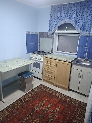 аренда унстурмент: 30 м², 1 комната, Без животных — 3