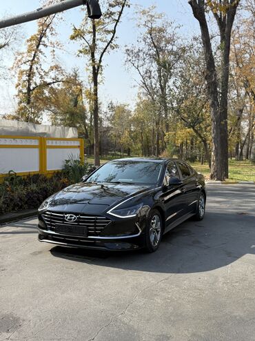 хюндай соната: Hyundai Sonata: 2019 г., 2 л, Автомат, Газ, Седан