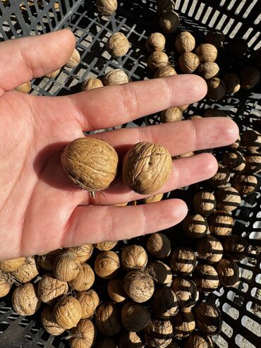 детская кроватка с бортиками: Грецкий орех 🌰 Чиститься легко ломается тоже 🤗 Цена 150 Договоримся