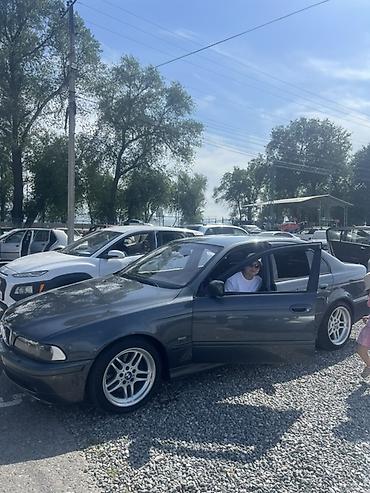 молдинги е39: BMW 5 series: 2001 г., Седан — 4
