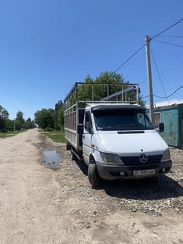 Коммерческий транспорт: Легкий грузовик, Mercedes-Benz, Стандарт, Б/у — 7