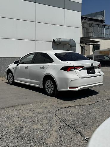 ночной прибор: Toyota Corolla: 2022 г., 1.8 л, Вариатор, Гибрид, Седан — 6