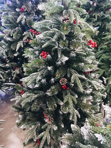 Yeni il ağacları: Yolka satisi teze mallar Endirimde 90 sm-19 man 120 sm-35man 150 — 4