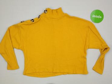 sklepy terranova: Terranova, Sweter damski, rozmiar S — 2
