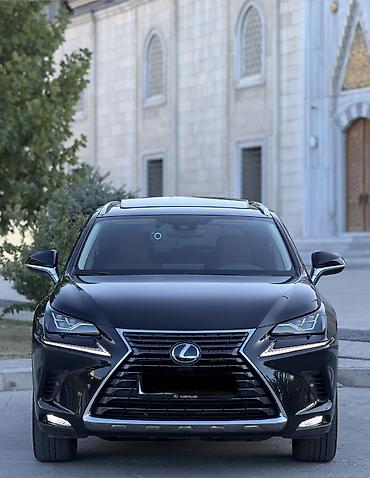 k7 2019: Lexus NX: 2019 г., 2.5 л, Вариатор, Гибрид, Кроссовер — 2