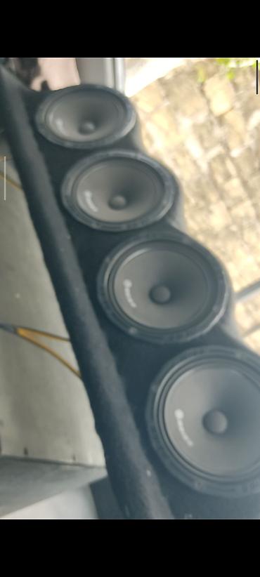 bose ses sistemi: 4 ədəd polkalı reis 16 lıq. bir ədəd 7150 delfin. soundmax uslitel 5 — 4