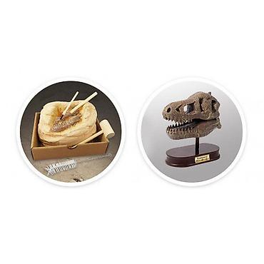 papuce stradivarius: Dino skelet 104872 Buki – kreativni set za male paleontologe Opis: - — 6