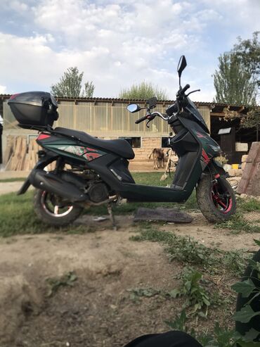 купить муравей новый: Продам Кофру