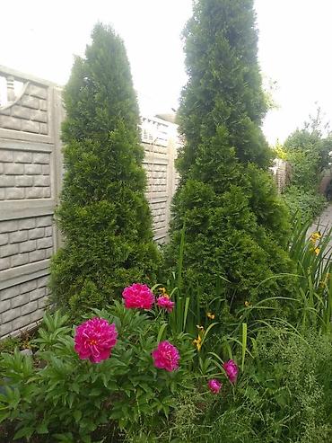 Продажа коттеджей и домов: 4 комнаты, 70 м², 4 соток, Бишкек, Молодая Гвардия Агентство недвижимости — 28