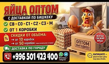 книжная полка бишкек: Яйца оптом с доставкой по Бишкеку. - Категории: СВ, С0, С1, С2, С3 — 1