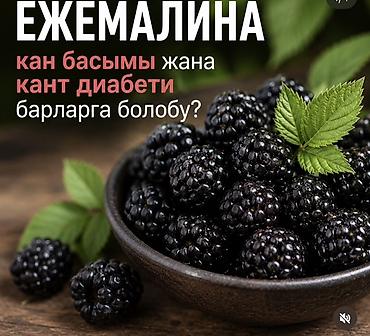 ежевики: Ежевика Оптом, Бесплатная доставка — 2