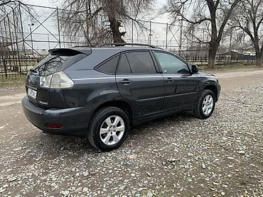 Lexus: Lexus RX: 2004 г., 3.3 л, Автомат, Газ, Кроссовер — 6