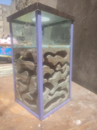 Heyvanlar üçün digər mallar: Hər ölçüdə hər dizaynda qarışqa yuvaları yığılır səliqəli və təmiz — 26