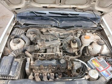 ниссан максима запчасти: Avtomobil: Daewoo Nexia (sedan) – benzinli, ön ötürücülü, mexaniki