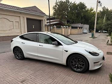 roidmi 4s: Tesla Model 3: 2021 г., Автомат, Электромобиль, Седан — 3