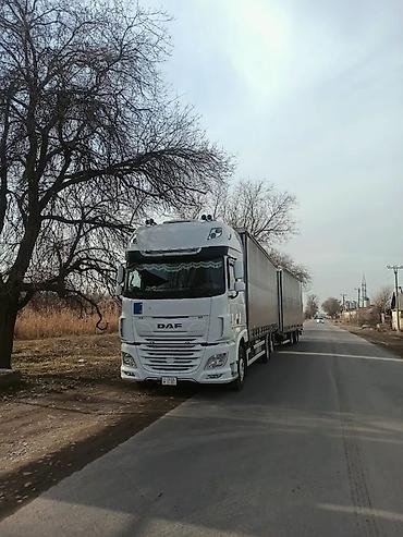 Тягачи: Тягач, DAF, 2019 г., Шторный — 1