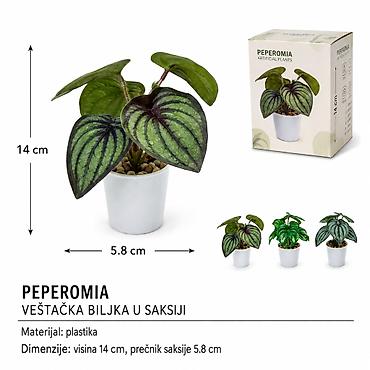 KMT Mini mala veštačka saksijska biljka – Peperomia Kompaktna na lalafo.rs KMT Mini mala veštačka saksijska biljka – Peperomia Kompaktna