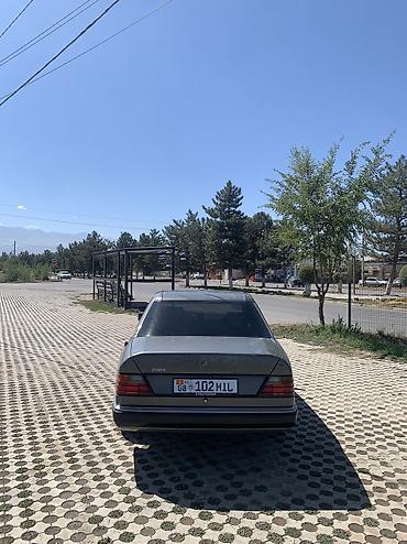 gs300 160: Mercedes-Benz E-Class: 1991 г., 2.3 л, Механика, Бензин, Седан — 3