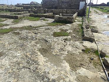 lokbatanda torpaq satışı: 3 sotun icindedi real alici narahat etsin unvan turkan uzumculuk — 3