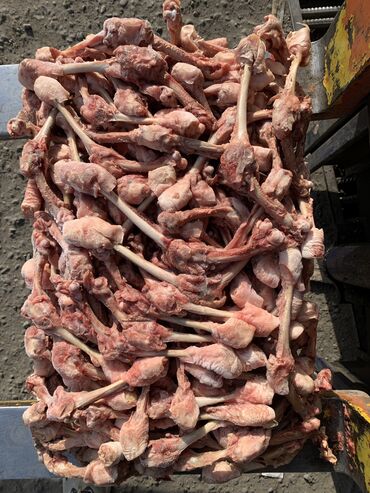 куплю куриные кости: Продаю оптом кости трубчатые (куриные) можно раздробить и добавить в