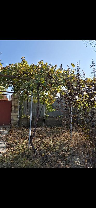 Torpaq sahələrinin satışı: 8 sot, Mülkiyyətçi, Kupça (Çıxarış), Texniki pasport — 23