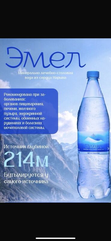 алма привасход: Минерально лечебно-столовая вода из сердца Нарына. Тара-1л ПЭТ,в