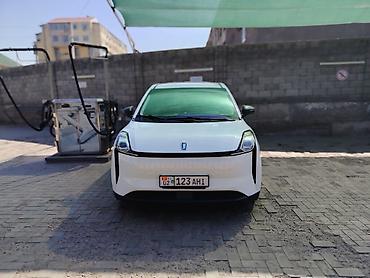byd yan plus: LDV : 2022 г., 0.1 л, Автомат, Электромобиль, Минивэн — 1