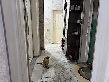 flat osh: 🏡 2-КОМНАТНАЯ КВАРТИРА С МЕБЕЛЬЮ И ТЕХНИКОЙ 📍 Московская / Молодая — 9