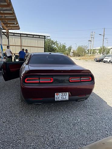 Dodge: Dodge Challenger: 2020 г., Купе — 8