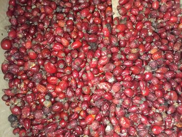 подвесной кресло: Шиповник сатылат кг 150сом кургак 4 мешок бар