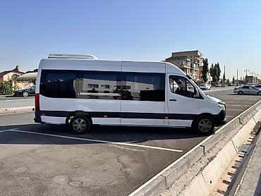 rex sprinter: Пункт назначения: Все направления — 6