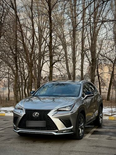 srv 2: Lexus NX: 2020 г., 2 л, Автомат, Бензин, Кроссовер