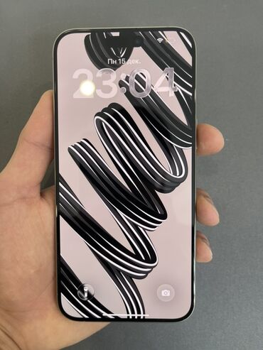 Apple iPhone: IPhone 15 Pro Max, Natural Titanium — 4