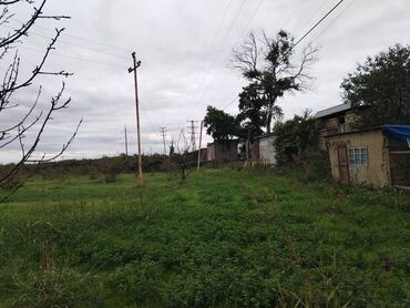 Torpaq sahələrinin satışı: 130 sot, Tikinti, Kupça (Çıxarış) — 11