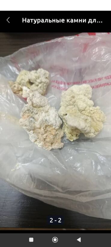 мазь король кожи купить в аптеке: Каменный масло-(таштын майы) ак мумия