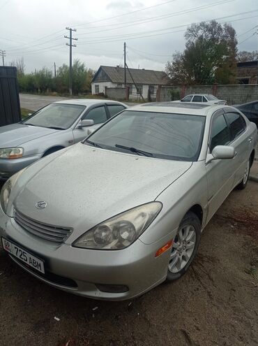 машина ist: Lexus ES: 2003 г., 3 л, Автомат, Бензин, Седан