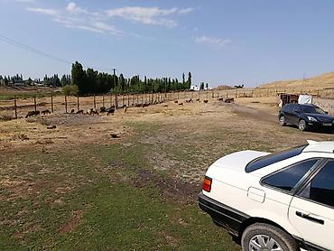 степной: Farm КРС, 1 соток, Действующий, Без оборудования, Электричество — 6