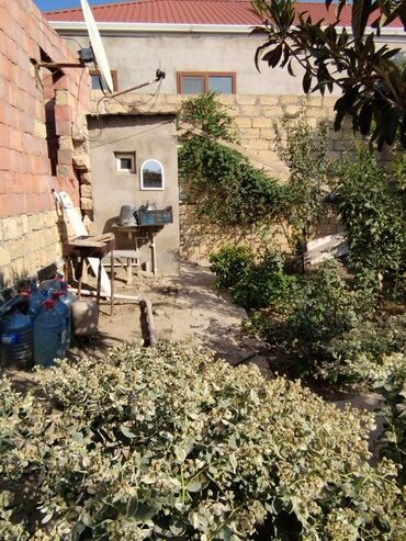 Uzunmüddətli kirayə mənzillər: Qobuda dörd otaqlı ev iki otaq bir kuxna hazır iki otaq təmirsiz qaz — 13