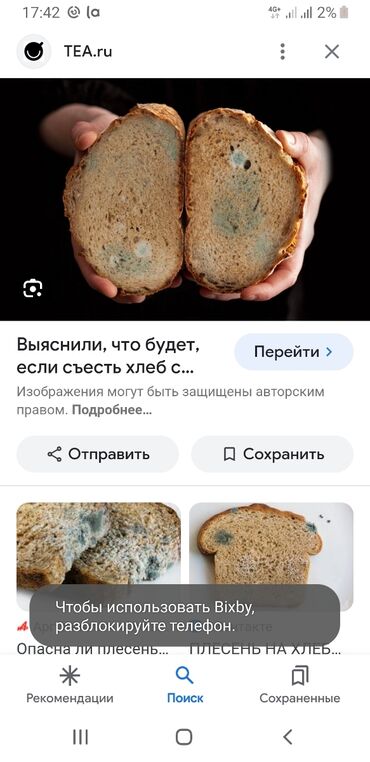 Другие животные: Хлеб с плесенью 
мешок 100сом