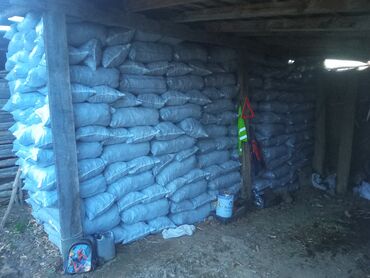 Ugalj i drvo za ogrev: Leskovački ćumur u većim količinama; Bez dobrog ćumura – nema dobrog — 4