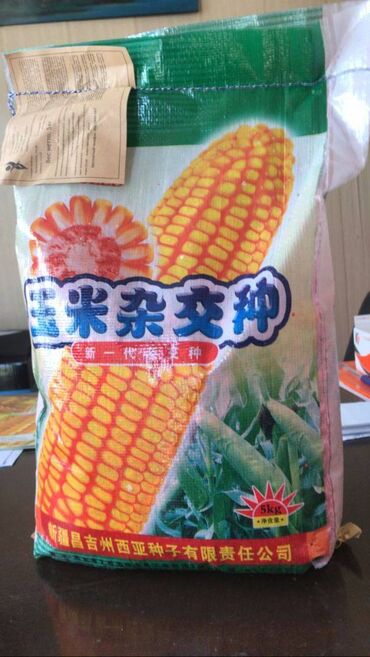 початка: Продаю семена кукурузы “Лидер 777” (Китай), ФАО-600. Оригинал! Очень