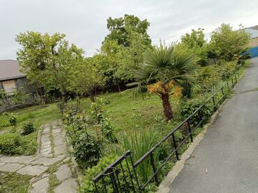 torpaq: 10 соток, Собственник, Купчая